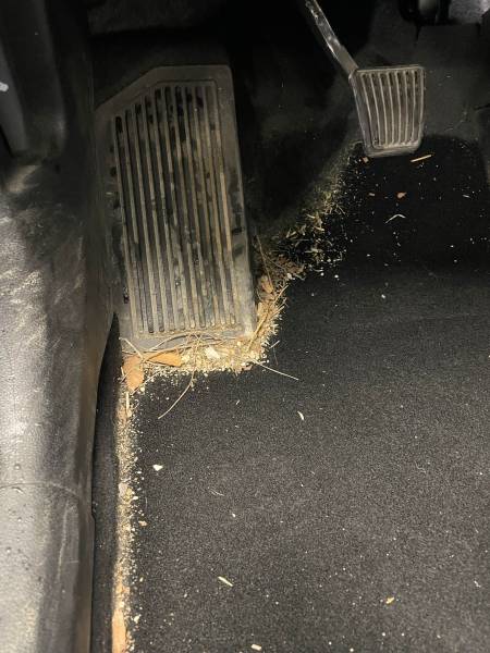 Lavage de voiture près de Nîmes 